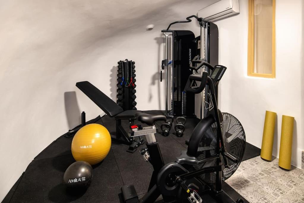Fitness centrum a/nebo fitness zařízení v ubytování Mystagoge Retreat cave with an indoor pool and gym
