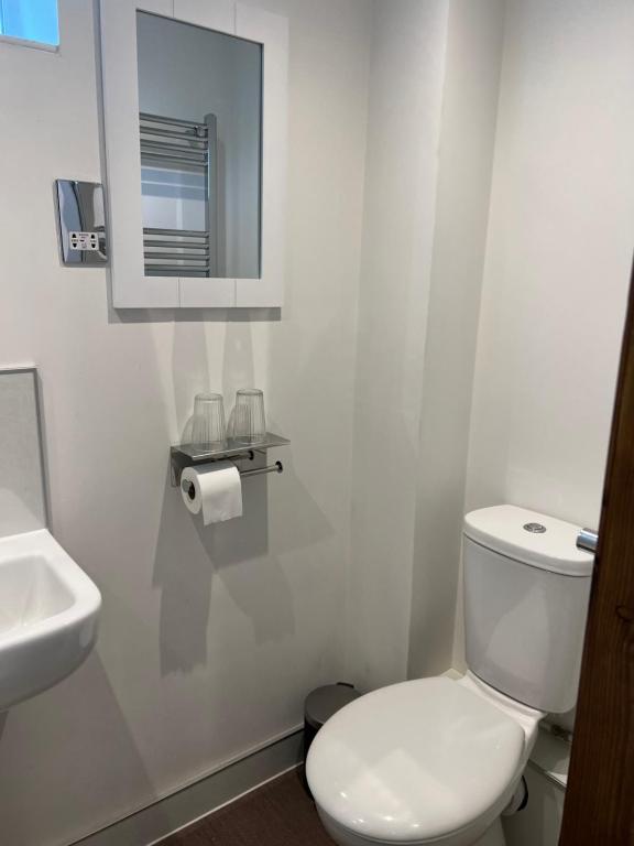 a bathroom with a white toilet and a sink at Comus inn in Selby