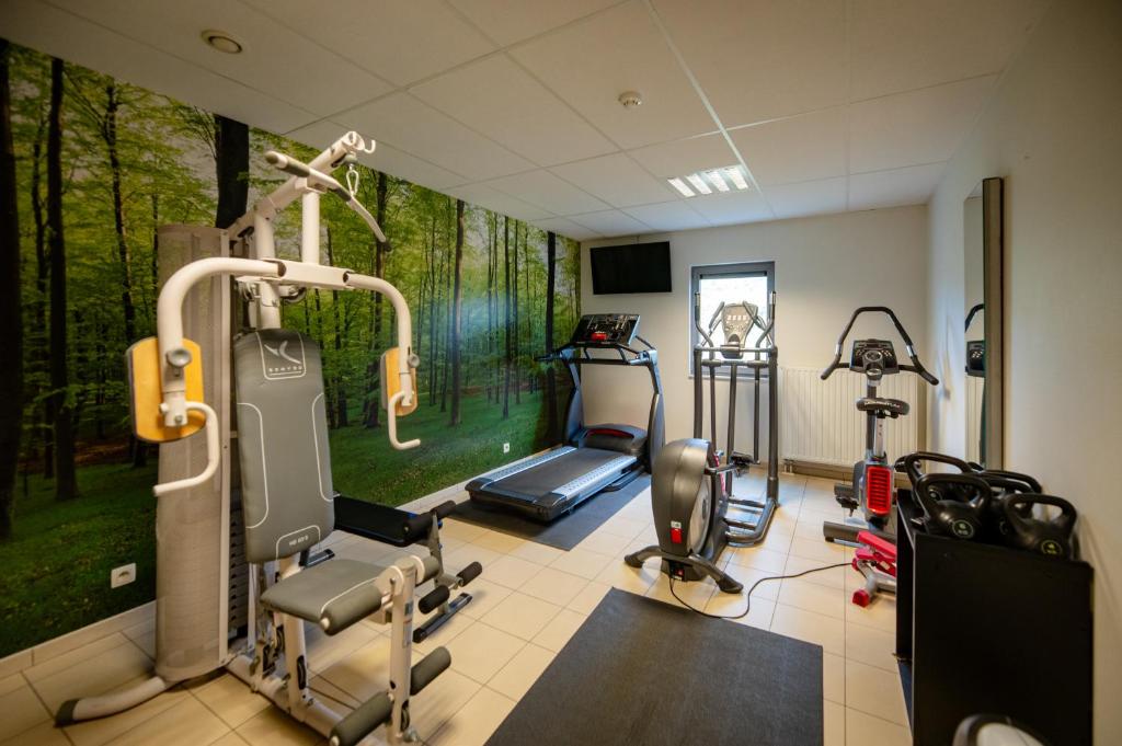 Fitness centrum a/nebo fitness zařízení v ubytování Hotel-Restaurant Horizon Ath-Lessines