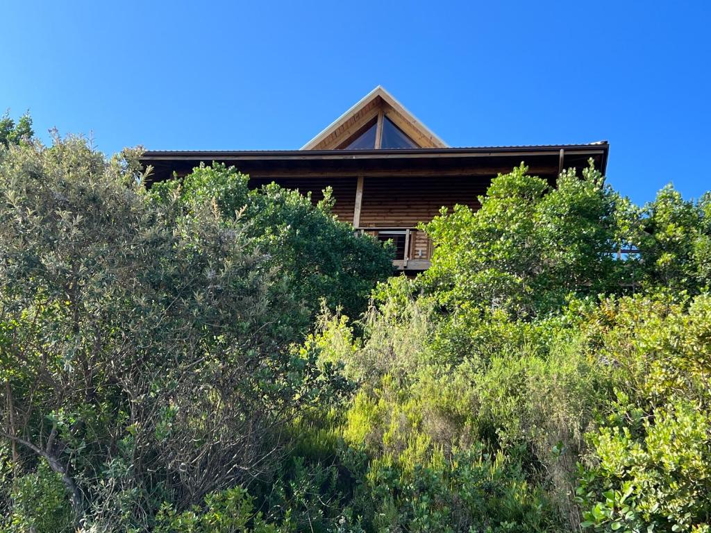 ein Haus auf einigen Bäumen in der Unterkunft Loerie Lodge in Keurboomstrand