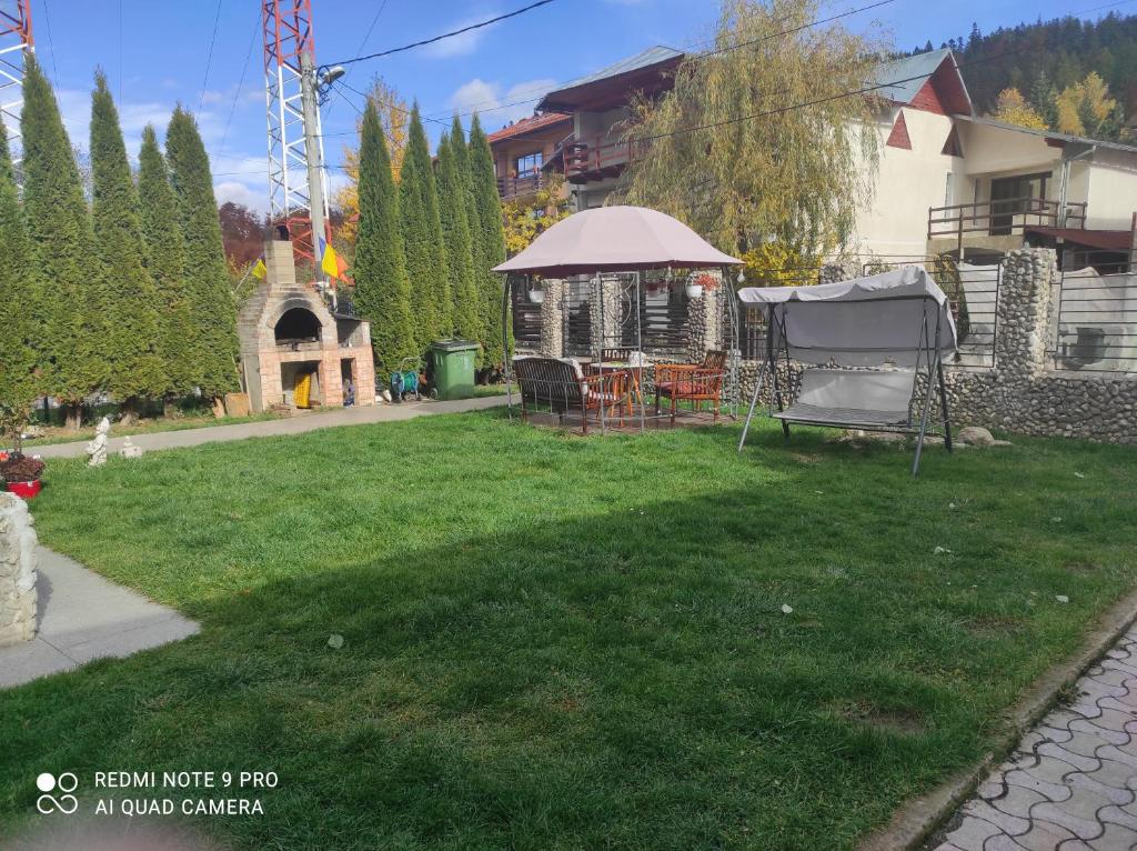 un patio trasero con cenador en el césped en Vila Maria, en Buşteni