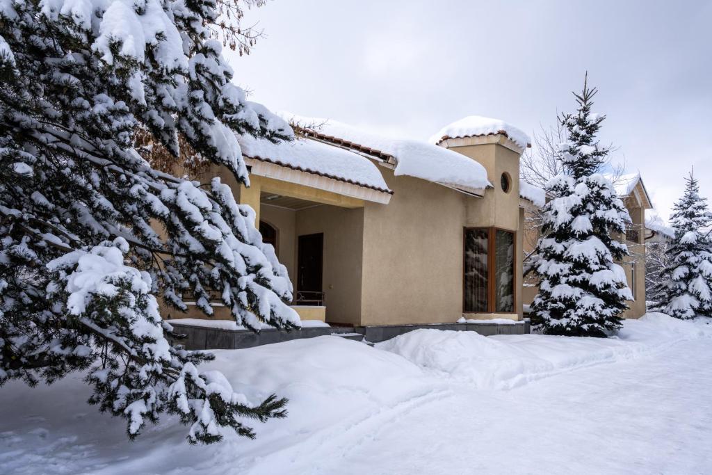 Alpina Resort by Stellar Hotels, Tsaghkadzor v zimě