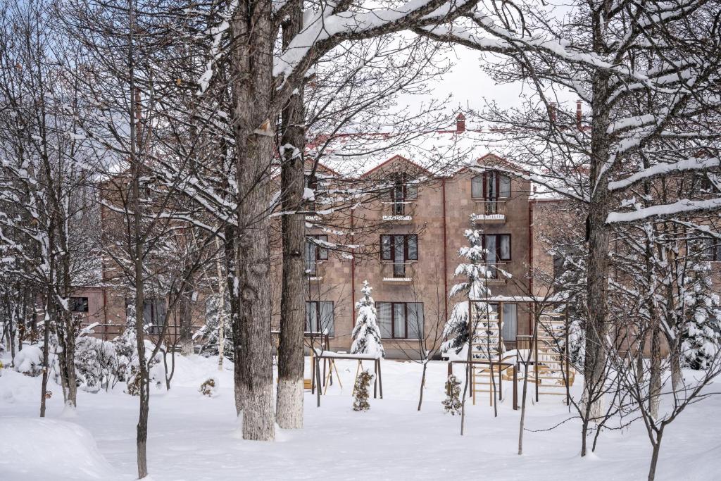 Alpina Resort by Stellar Hotels, Tsaghkadzor v zimě