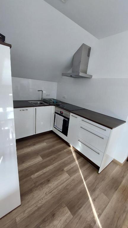 Kuchyň nebo kuchyňský kout v ubytování Living Apartment