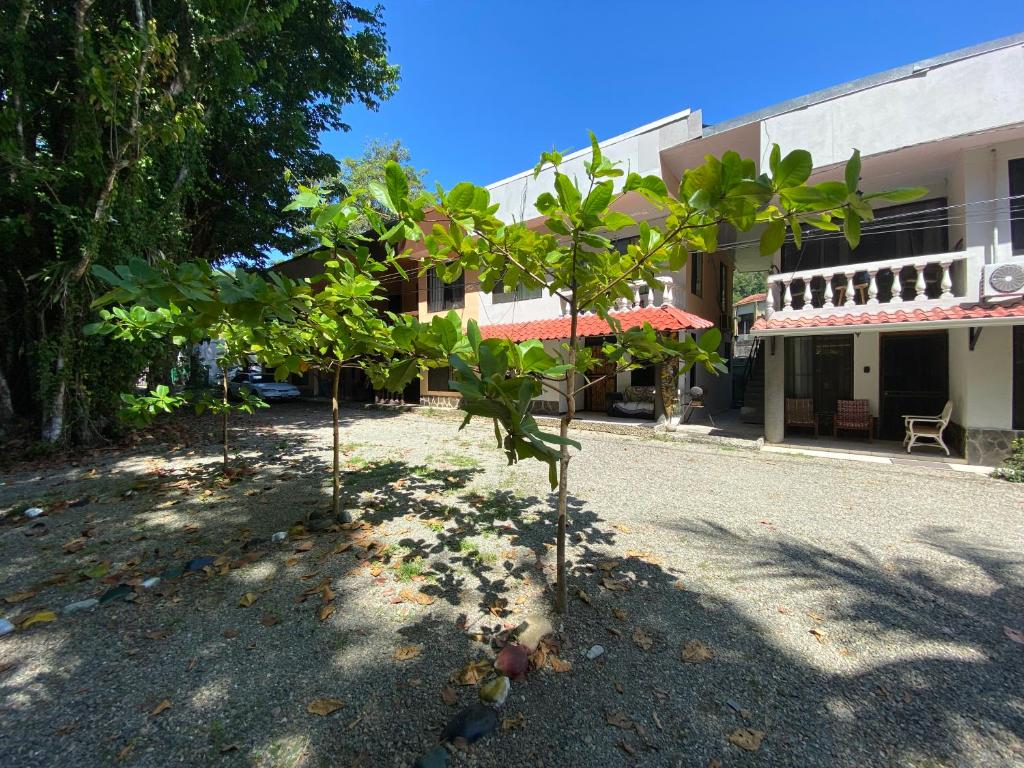 a group of trees in front of a building at Apto Cielo Azul No7 in Manuel Antonio