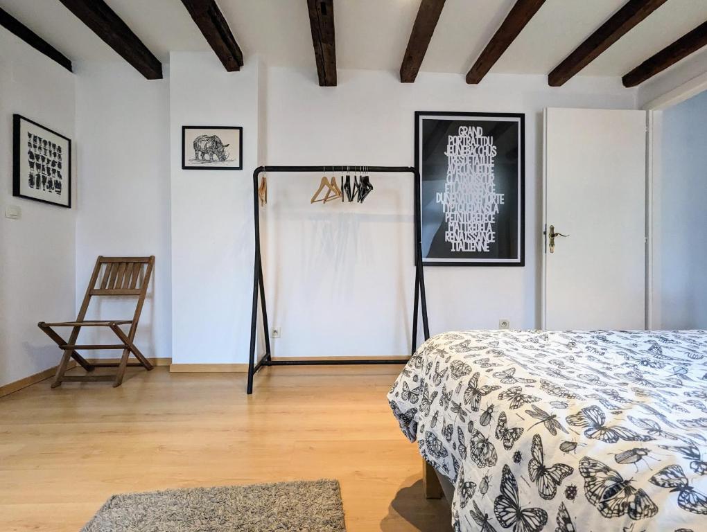 a bedroom with a bed and a chair in a room at Appartement des Serruriers in Strasbourg