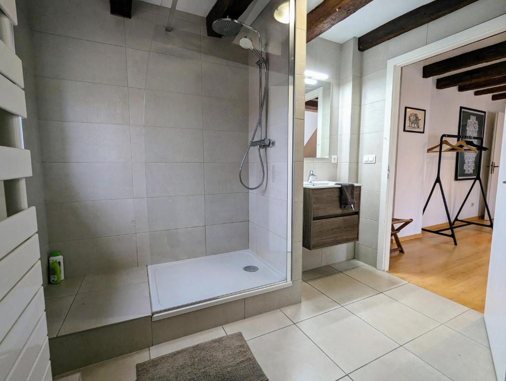 a bathroom with a walk in shower and a sink at Appartement des Serruriers in Strasbourg