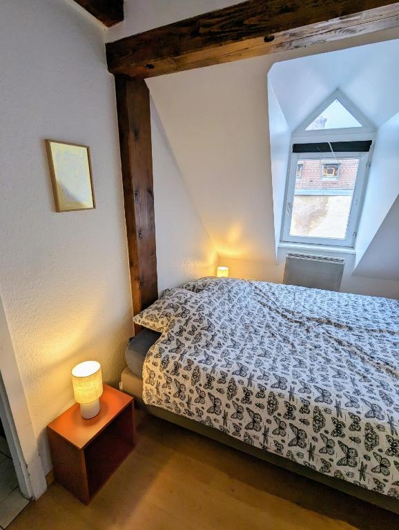 a bedroom with a bed and a window at Appartement des Serruriers in Strasbourg