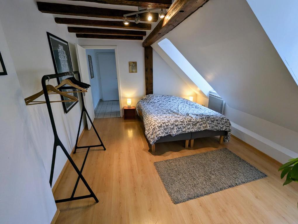 a attic room with a bed and a tripod at Appartement des Serruriers in Strasbourg