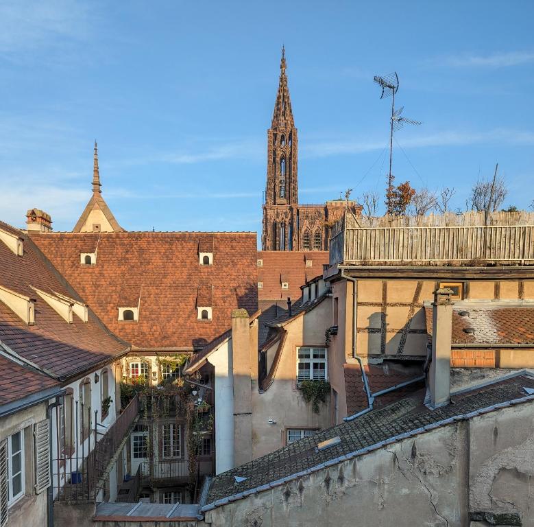 a view of a city with a clock tower at Appartement des Serruriers in Strasbourg