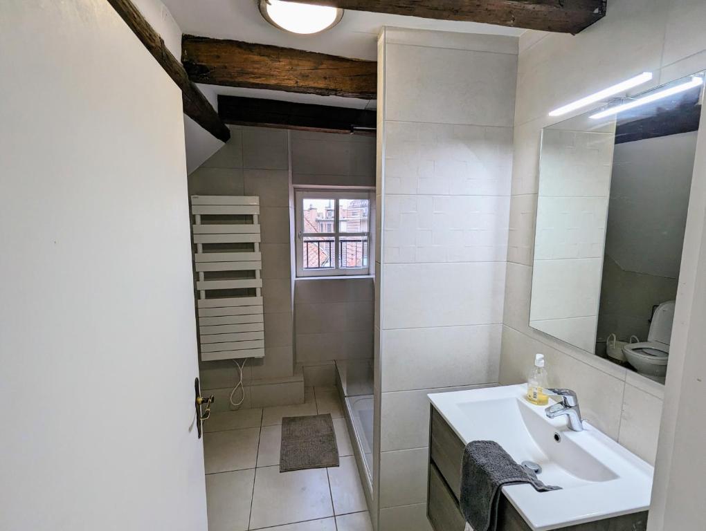 a white bathroom with a sink and a mirror at Appartement des Serruriers in Strasbourg