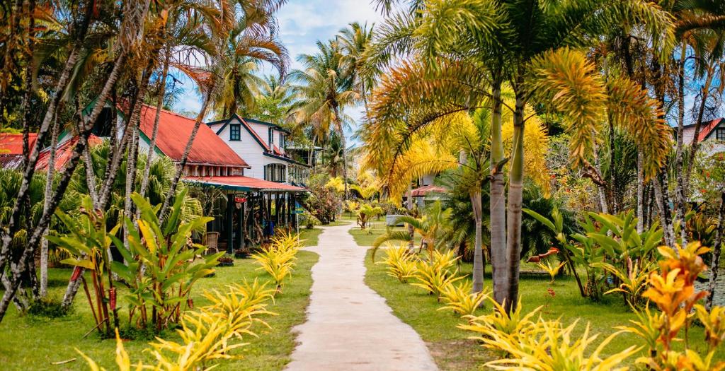 um caminho em frente a uma casa com palmeiras em Plantage Resort Frederiksdorp em Paramaribo