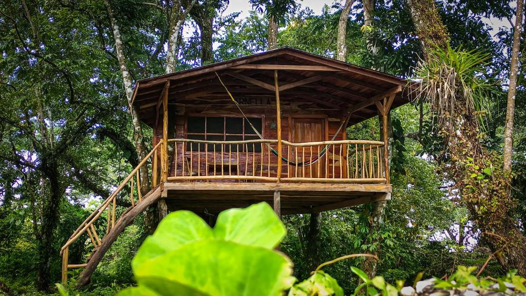 domek na drzewie w środku lasu w obiekcie Jungle Cabins El Escondido w mieście Muy Muy