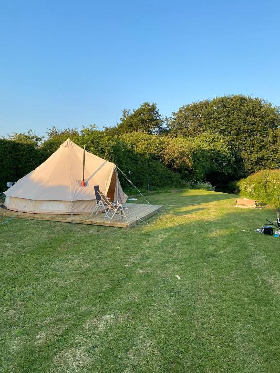 Roe Deer Meadow at Carr House Farm 7