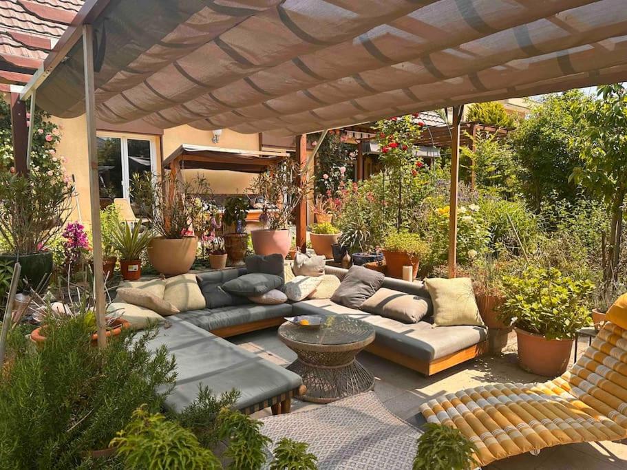 um pátio com sofás e muitas plantas em Luxueuse oasis écologique à proximité du lac em Preverenges