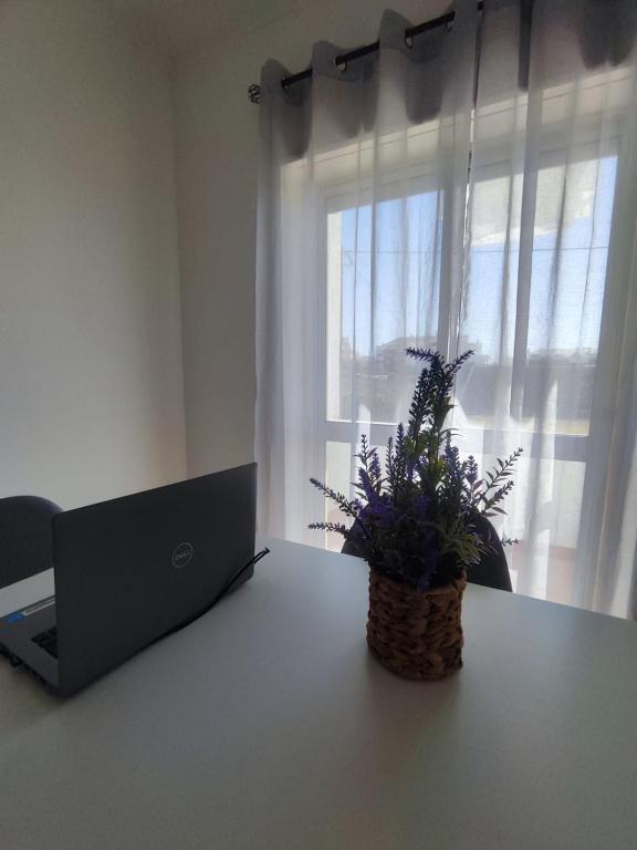 SeaView Ericeira - 19