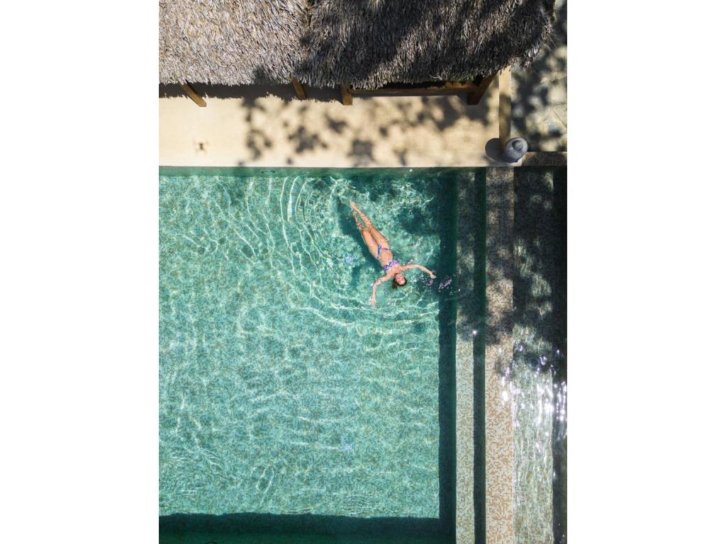 a koi swimming in a pool of water at Catalina's Hideaway in Santa Catalina