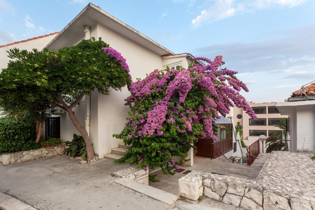 Zahrada ubytování Guest House Marija
