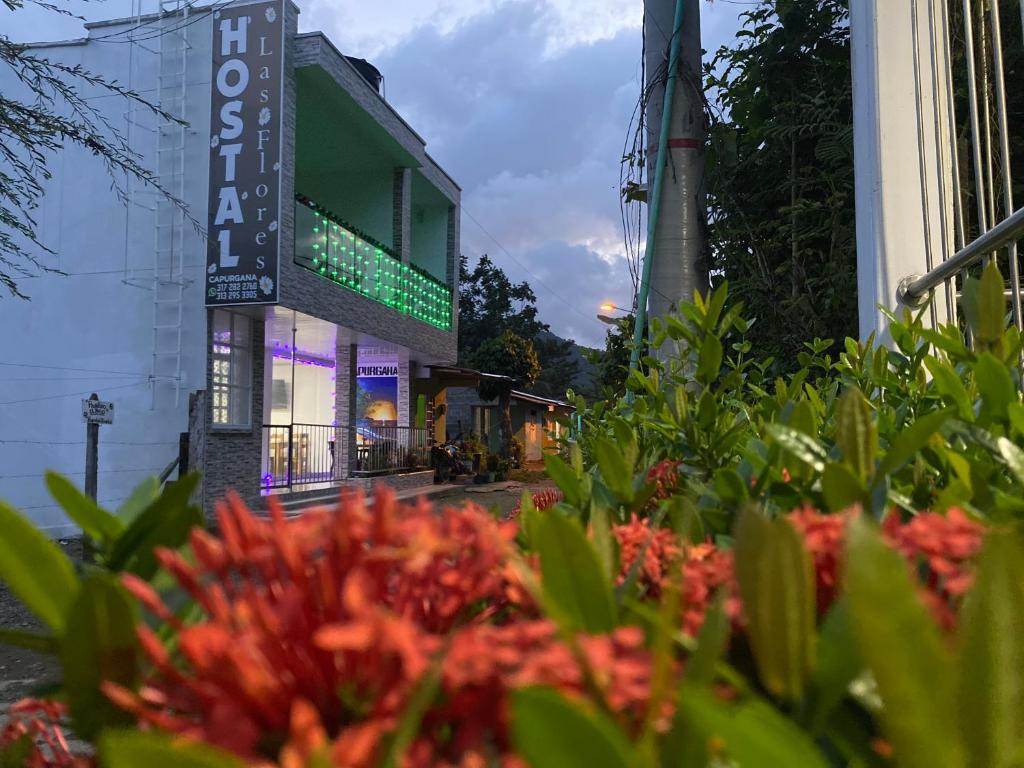 Un jardín fuera de HOSTAL LAS FLORES