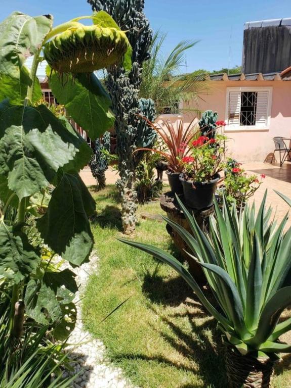 Zahrada ubytování Quarto com / Bosque / Estoril / SJC