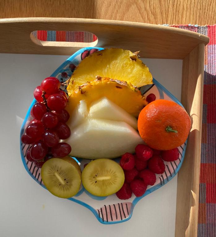 El jardin Botánico Villa LUZ - 8