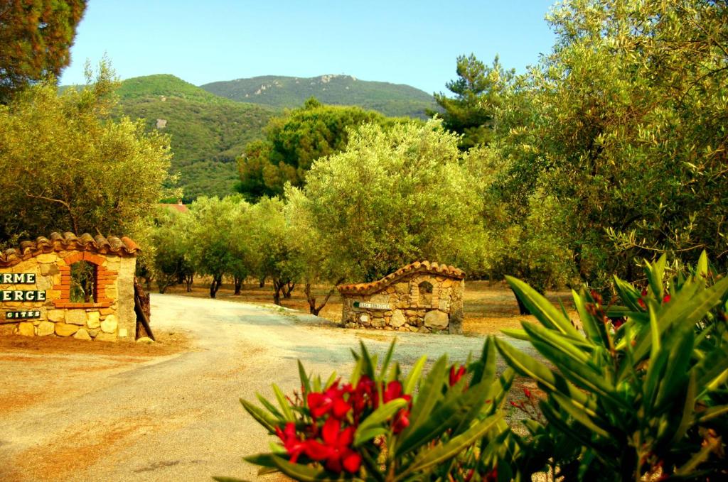 un camino de tierra con árboles y un edificio y flores en Meublés de Tourisme Casa Erbaggio, en Sartène