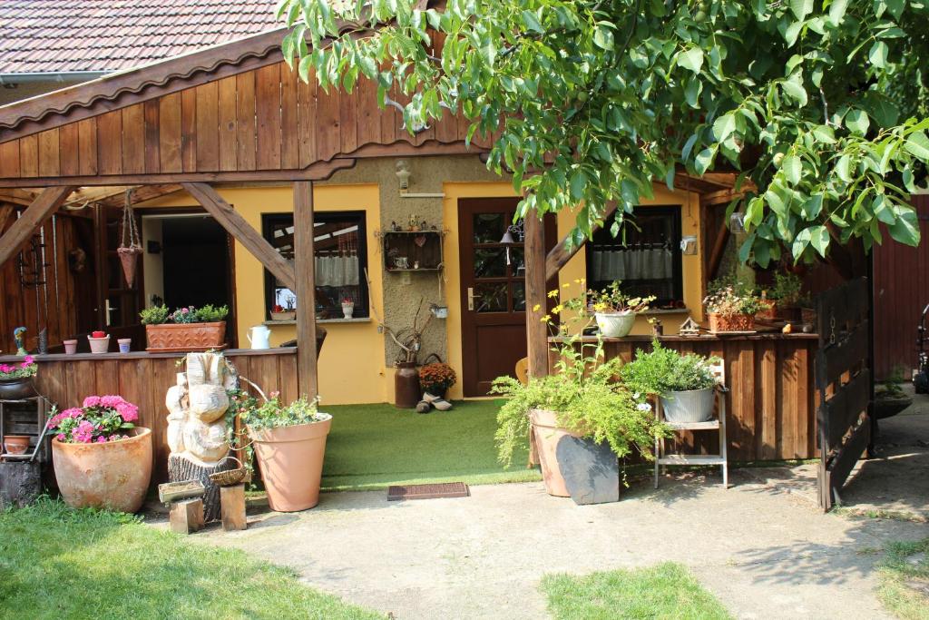 una casa con macetas en el patio delantero en Walnußhof, en Schmogrow