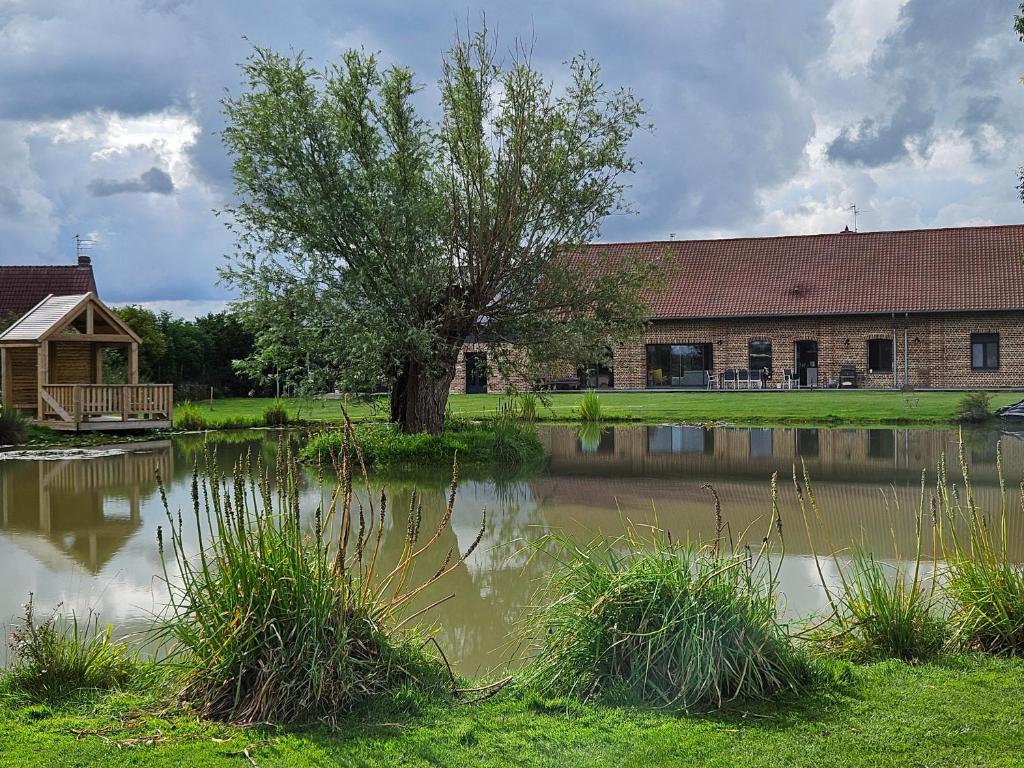un bâtiment avec un arbre à côté d'un étang dans l'établissement chambre coin nature, à Fromelles