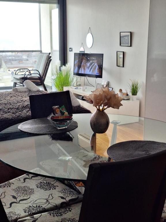 Televízia a/alebo spoločenská miestnosť v ubytovaní Studio apartman Anamaria