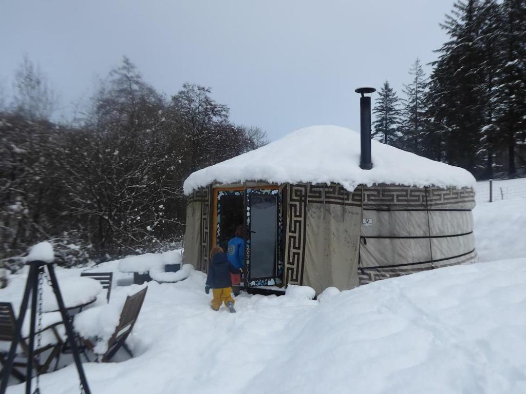 Wilding Yurt Stay v zimě
