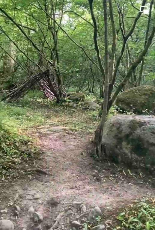 Příroda nedaleko luxury tent