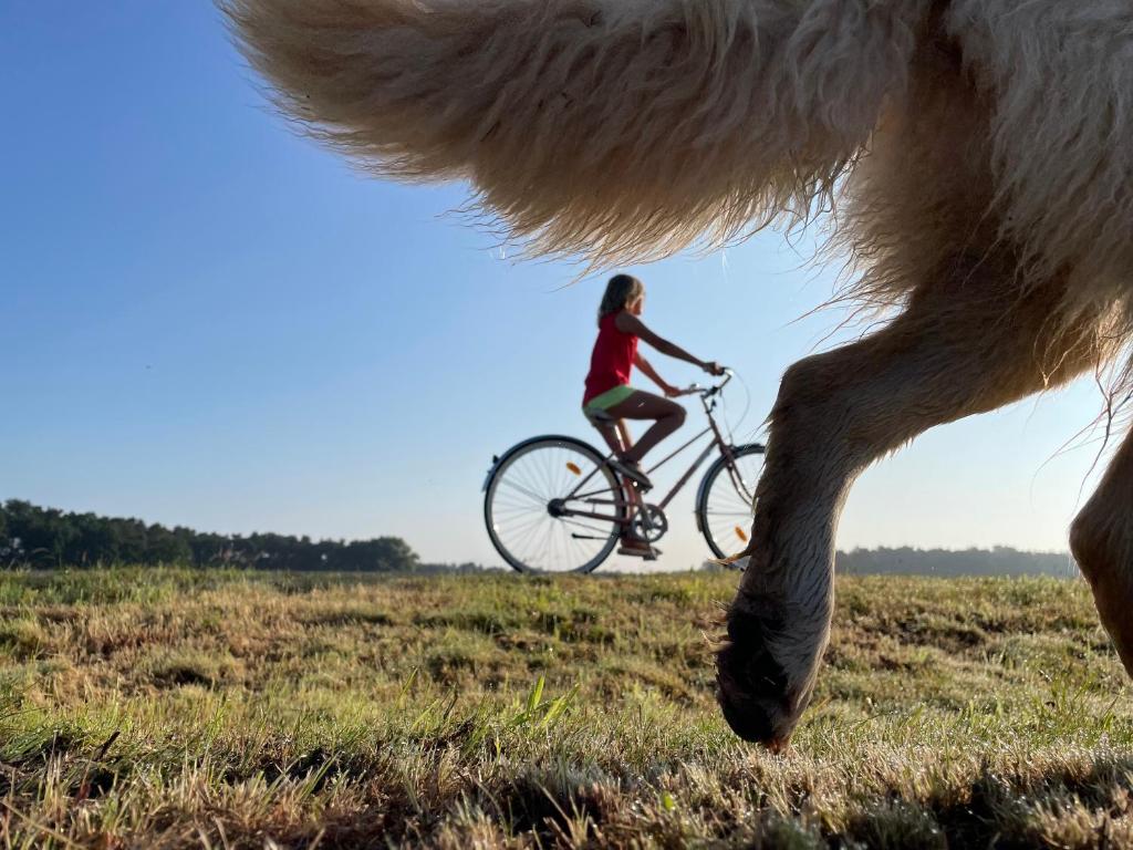 a woman riding a bike in a field with a horse at Landdomizil Zeißig in Hoyerswerda