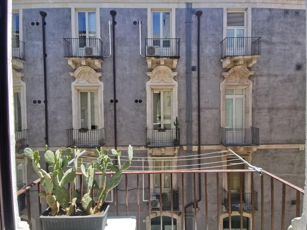 A balcony or terrace at Two Rooms Bellini