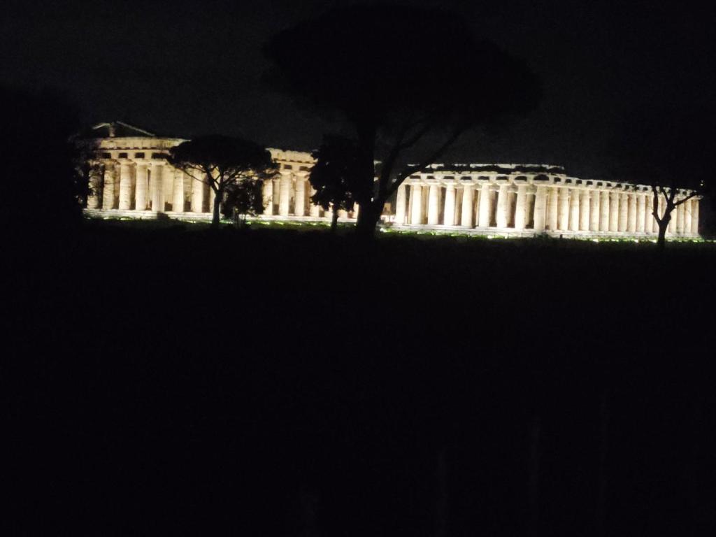 un edificio illuminato di notte con alberi in primo piano di IL GIARDINO DI ATHENA a Paestum