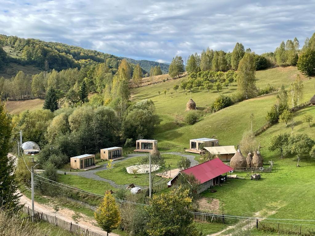 Rai Village في Băniţa: مزرعة مع بعض الحيوانات في حقل عشبي