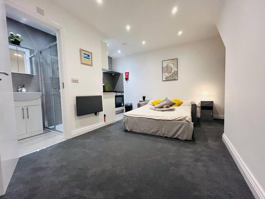 a bedroom with a bed and a tv in a room at Cosy Studio near Emirates Stadium in London