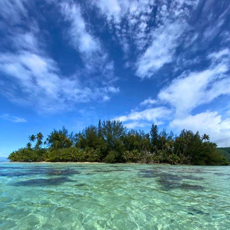 TAHITI - Cocoon Mataiea B&B - photo 7 - Tahiti, Polynésie