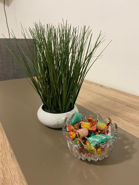 a bowl of candy on a table with a plant at Kula Dream apartment in Kula