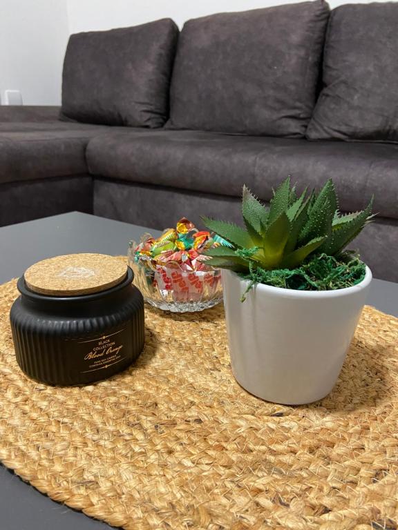 a table with a plant in a pot and a couch at Kula Dream apartment in Kula