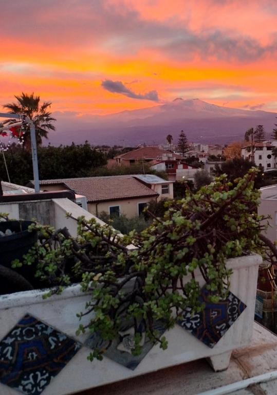 The sunrise or sunset as seen from Az apartmant or nearby