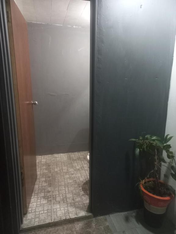 a hallway with a door and a potted plant at Casa de Rachel 