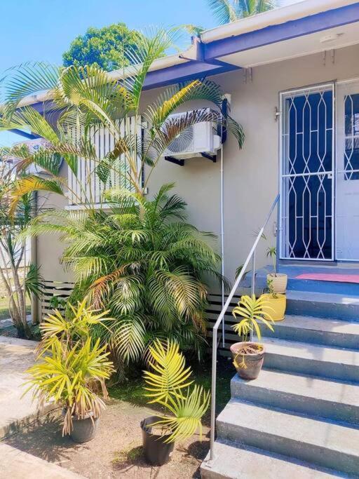 Zahrada ubytování Guesthouse in Suva
