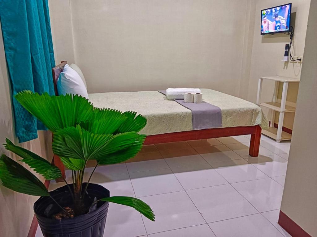 une chambre avec un lit et une plante en pot dans l'établissement #2 Green Room Inn Siargao, à General Luna