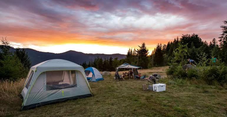 Curug 1的住宿－ALAM RAYA CAMP，日落时分在田野里搭帐篷