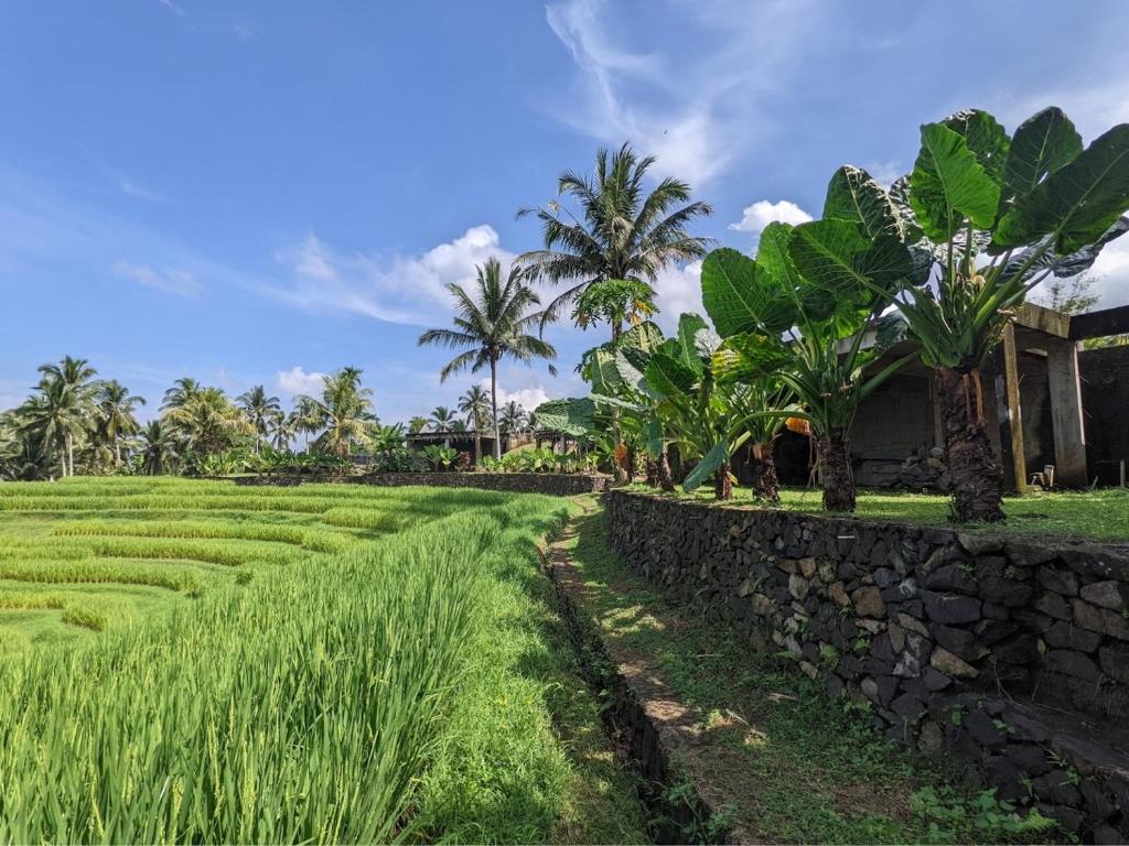 Puri Dajuma Terrace Eco Lodge & Spa - 12