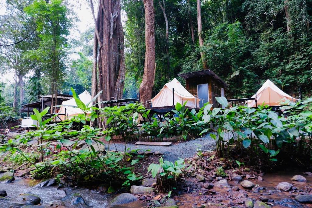 eine Gruppe von Zelten in einem Wald mit Bäumen in der Unterkunft The camp Maekampong in Ban Pok Nai