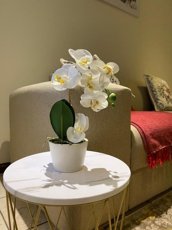 ein weißer Tisch mit einer Pflanze in einem Topf darauf. in der Unterkunft Thorntree Self Catering Apartment, Witbank in Witbank