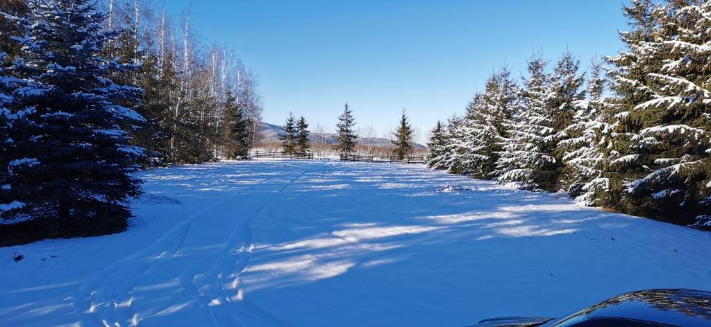 uma estrada coberta de neve com árvores ao lado em Cabana Kristof Kulcsosház em Borzont