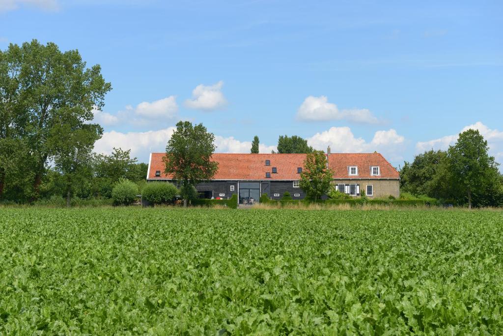 a large house in the middle of a field at Historische Boerderij FAMILIEKAMER in Heinkensand
