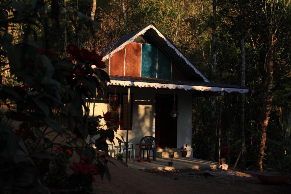 Best Kerala Homestay - Housity